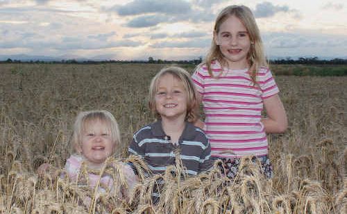 OUT IN THE PADDOCK: Kate Sullivan’s children Charlotte, 6, Hayden, 3 and Odette, 2. The Sullivan family lost $300,000 when their last wheat harvest was downgraded to feed quality. cont OUT IN THE PADDOCK: Kate Sullivan’s children Charlotte, 6, Hayden, 3 and Odette, 2. The Sullivan family lost $300,000 when their last wheat harvest was downgraded to feed quality. cont
